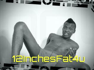 12InchesFat4u