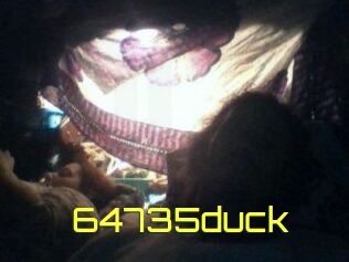 64735duck