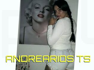 ANDREARIOS_TS
