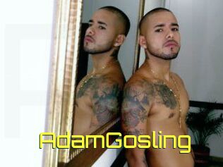 AdamGosling