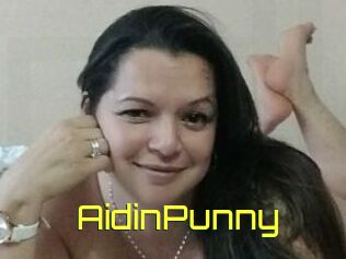 AidinPunny