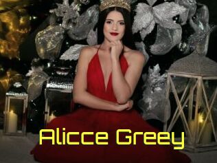 Alicce_Greey