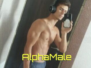 AlphaMale