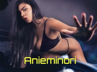 Anieminori