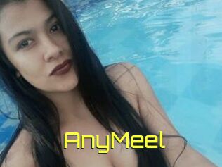 AnyMeel