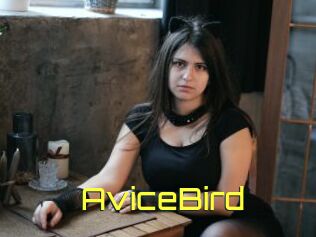 AviceBird