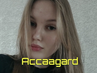 Accaagard