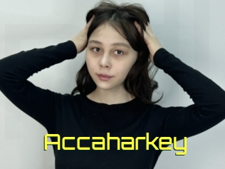 Accaharkey