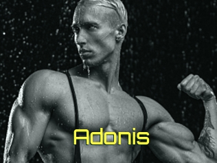 Adonis