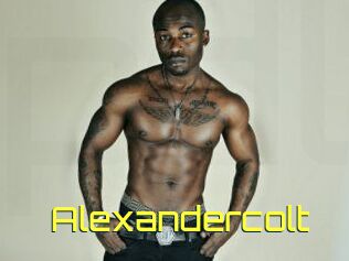 Alexandercolt