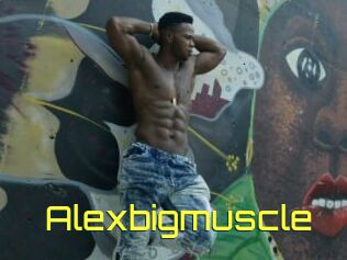 Alexbigmuscle