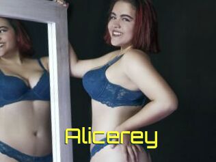 Alicerey