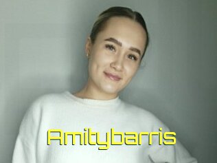 Amitybarris