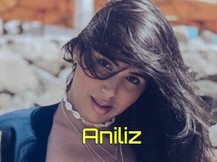 Aniliz