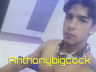 Anthonybigcock