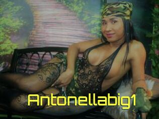 Antonellabig1