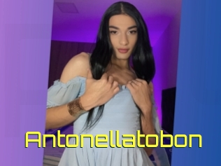 Antonellatobon