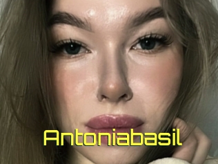 Antoniabasil