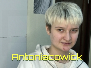 Antoniacowick