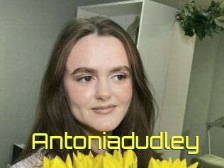 Antoniadudley