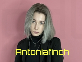 Antoniafinch