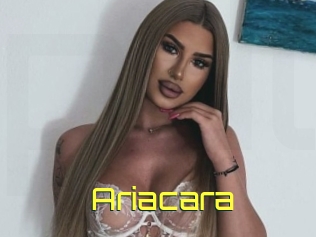 Ariacara