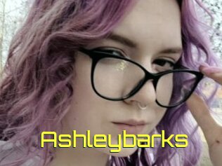 Ashleybarks