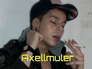 Axellmuler