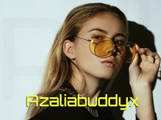 Azaliabuddyx