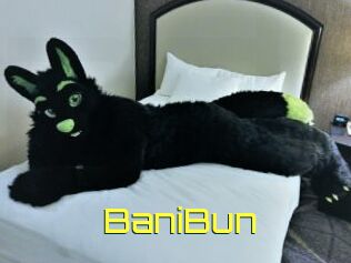 BaniBun