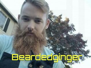 Beardedginger