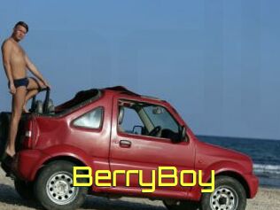BerryBoy