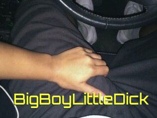 BigBoyLittleDick