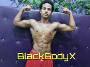 BlackBodyX