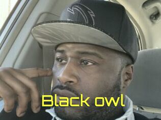 Black_owl