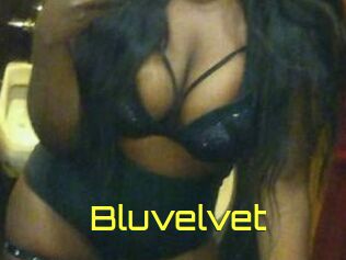 Bluvelvet