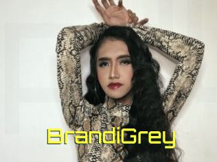 BrandiGrey