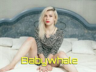 Babywhale