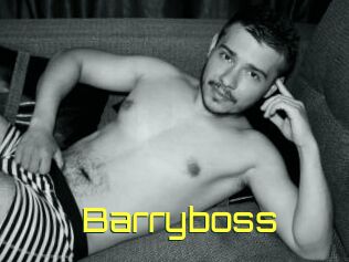 Barryboss