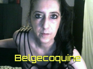 Belgecoquine