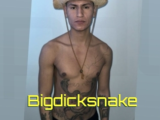 bigdicksnake Pine De Lapin