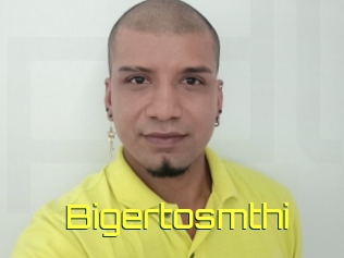 Bigertosmthi