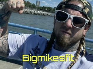 Bigmikesfit