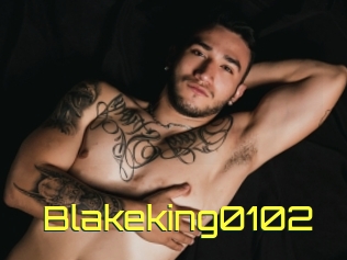 Blakeking0102