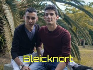 Bleicknort