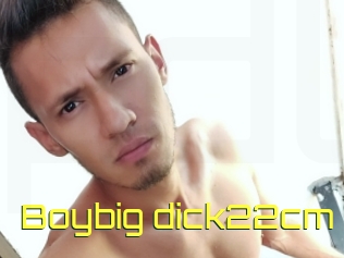 Boybig_dick22cm