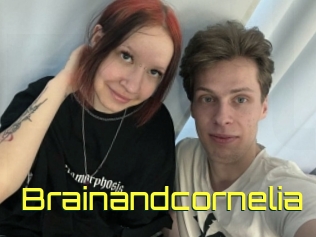brainandcornelia Pine De Lapin