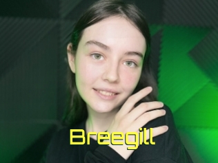 Breegill