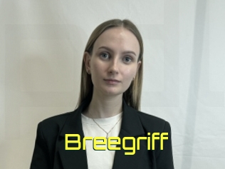 Breegriff