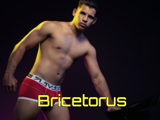 Bricetorus